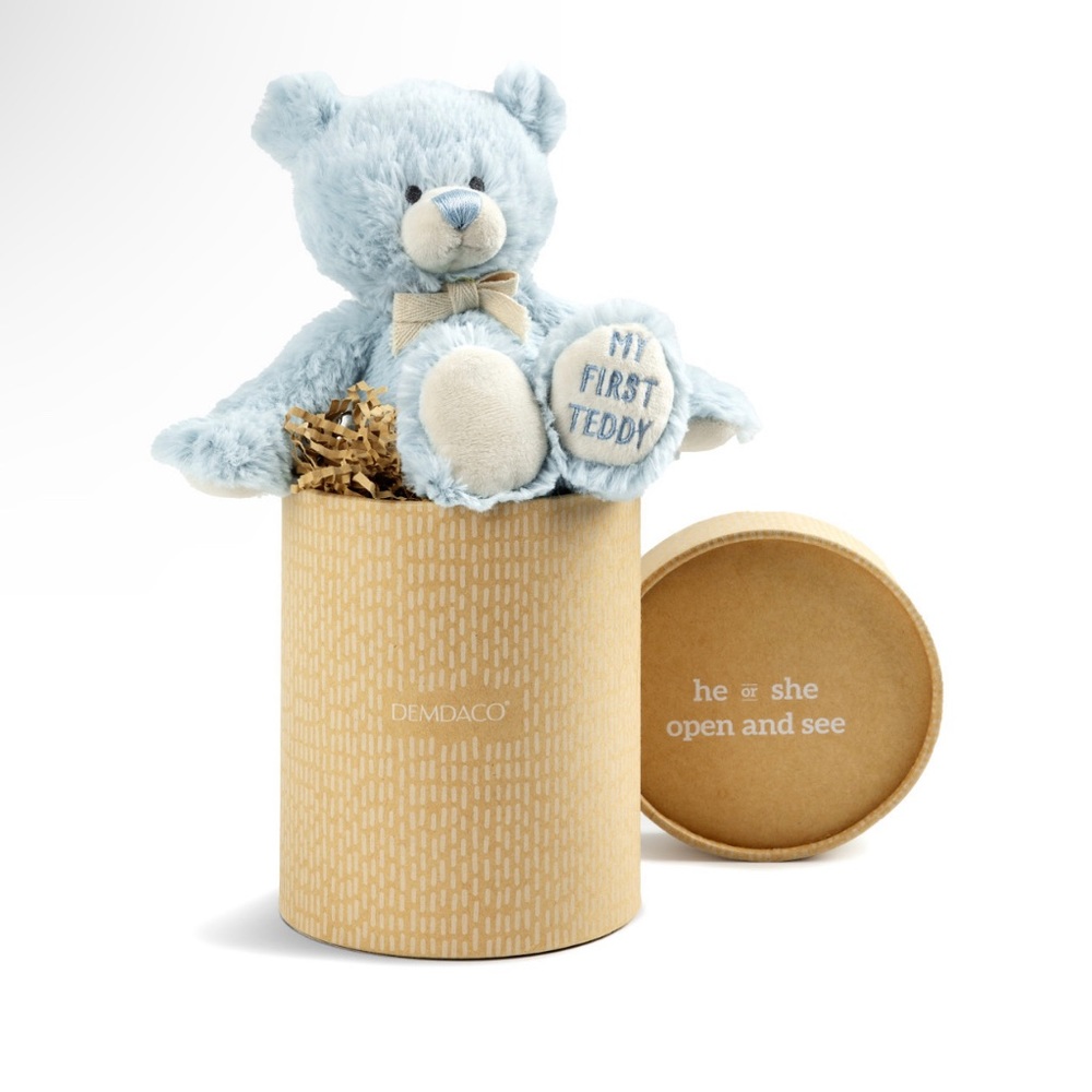 Gender Reveal Teddy Bear - Boy
